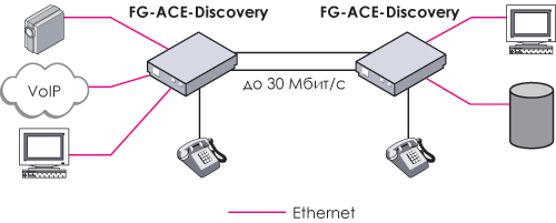   FlexGain Access Discovery EFM