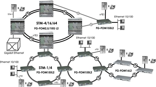   FlexGain FOM10GL2