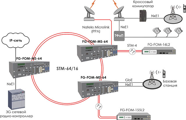   FlexGain FOM-MS-64 