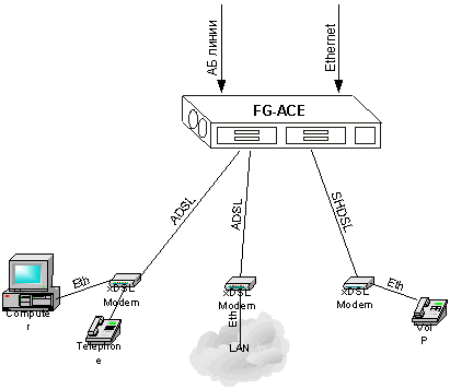      FlexGain Access